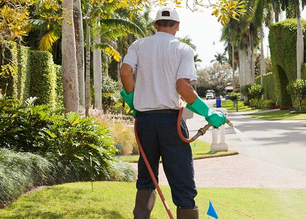 About Monmouth OR Pest Control Pros